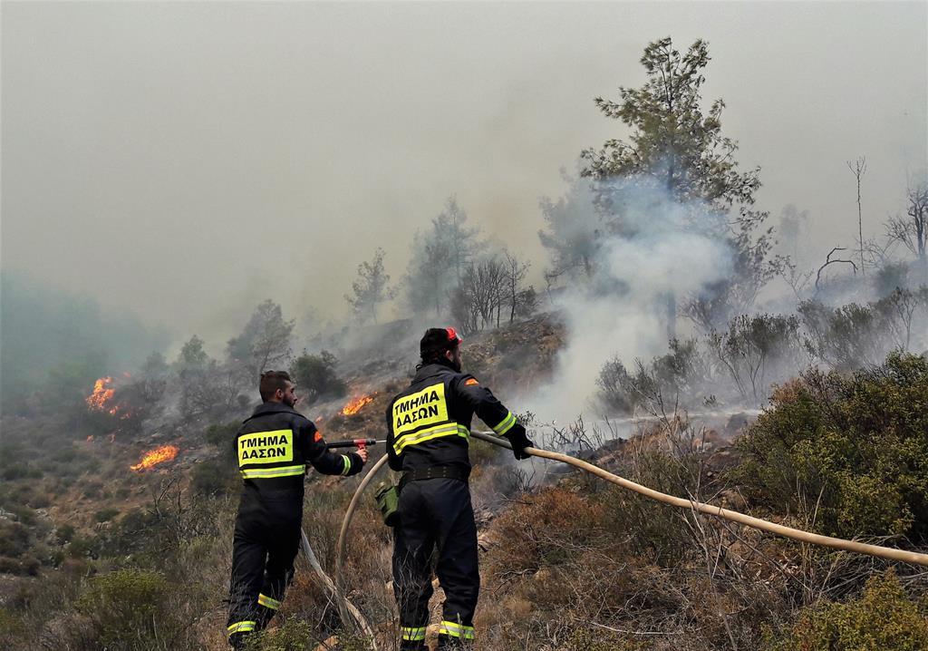 На Кипре ударила 40-градусная жара / facebook.com/DepartmentOfForests На Кипре ударила 40-градусная жара / facebook.com/DepartmentOfForests
