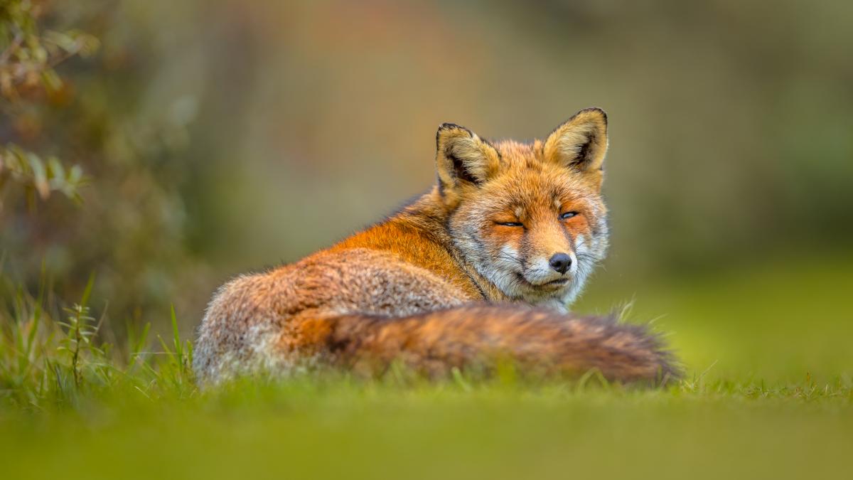 https://images.unian.net/photos/2020_05/1589990059-6667.jpg?r=546083