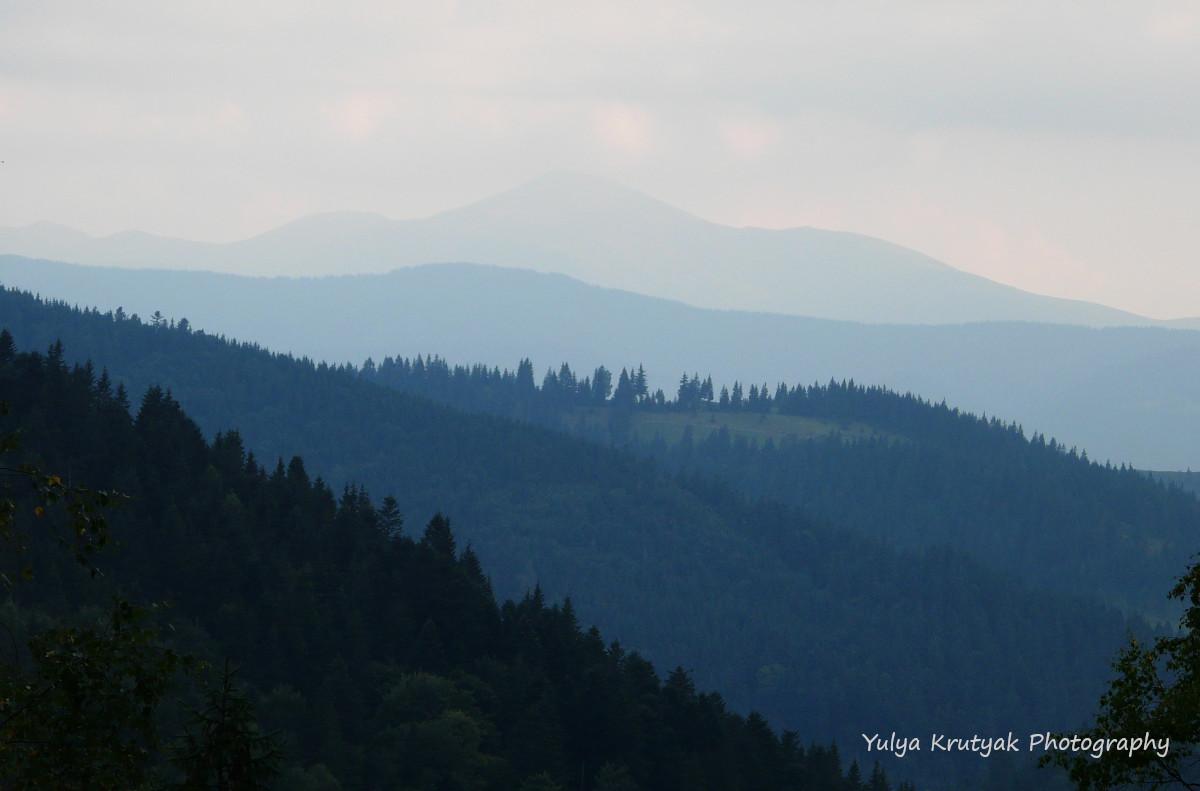 Ґорґанські ліси / фото Yulya Krutyak