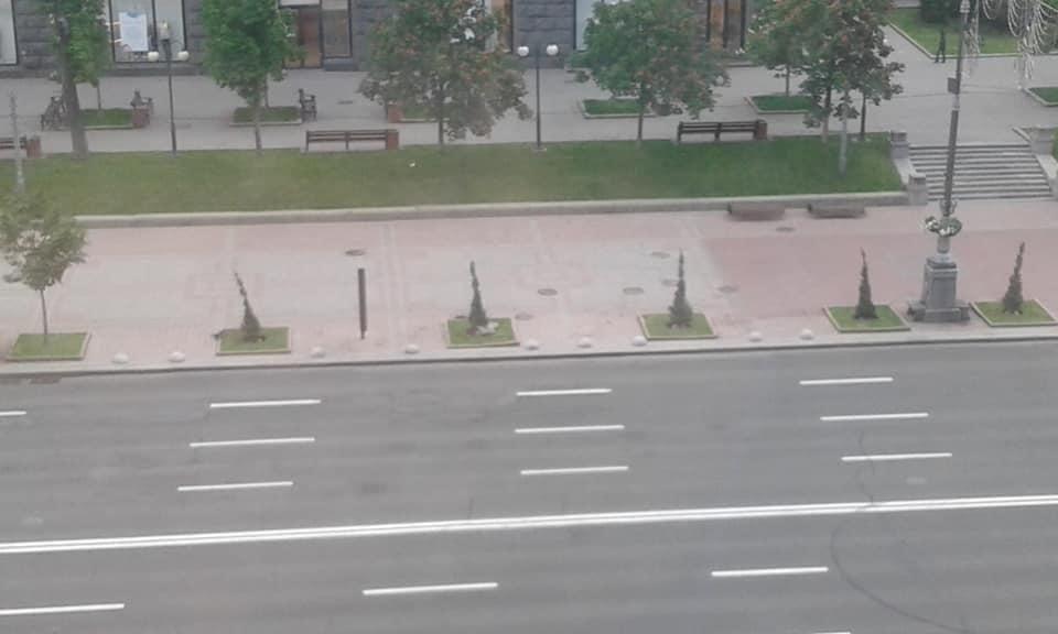 На Хрещатику замість каштанів з’явився ялівець: як виглядає зараз центральна вулиця Києва (фото) На Хрещатику замість каштанів з’явився ялівець: як виглядає зараз центральна вулиця Києва (фото)