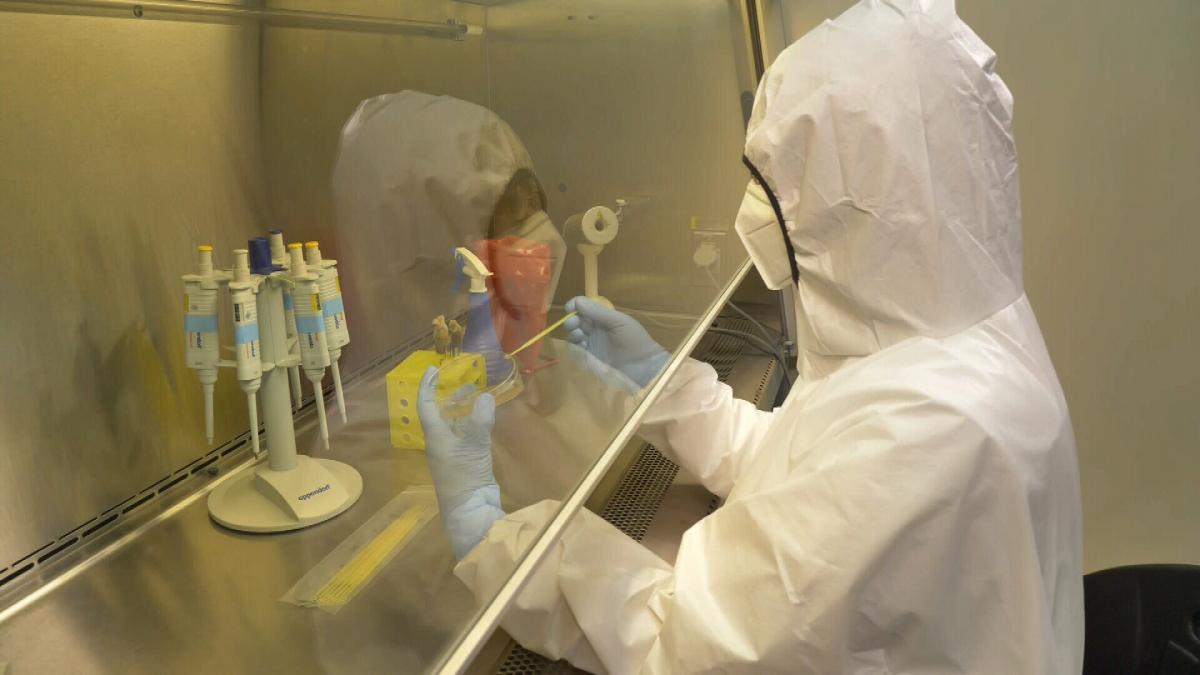 В Лабораторії лише п’ять співробітників. Біологи працюють з обережністю сапера на мінному полі
