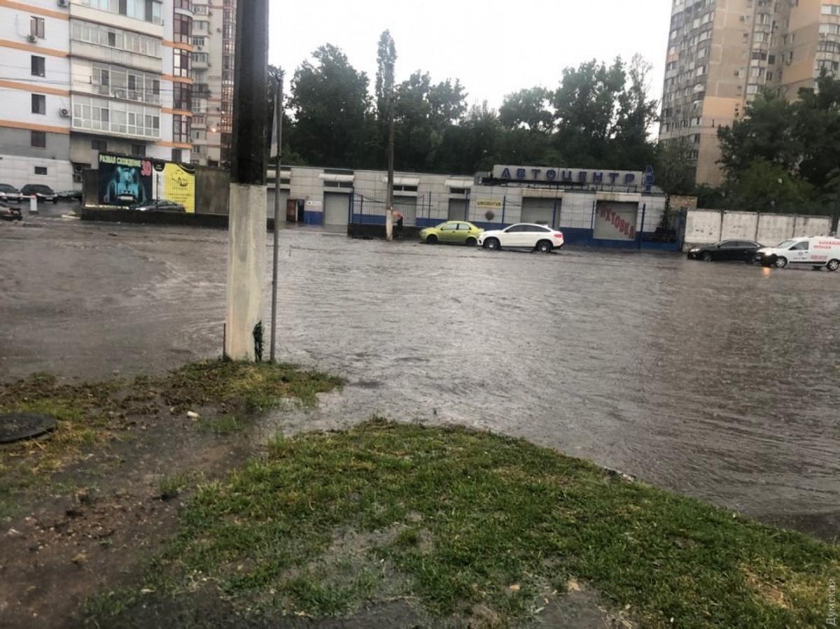 "Думская" "Думская"