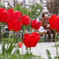 У Києві зменшилася кількість нових випадків COVID-19: за добу інфікувалася 41 людина