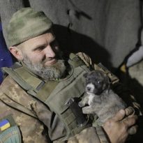 Silence in Donbas following TCG emergency meeting
