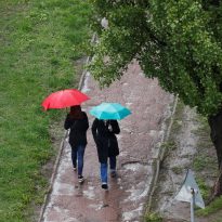 Лето будет дольше на месяц, а зима очень теплой: климатолог рассказал о стремительных изменениях погоды в Украине