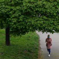 Найбільше хворих на COVID-19 за останню добу зареєстрували у Києві й трьох областях – Степанов