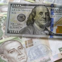 Legislator talks of possible hryvnia rate by year-end