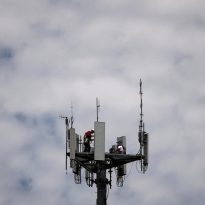 Politico: В Европе снова жгут ведьм