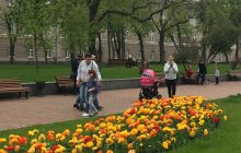 В Чернигове с сегодняшнего дня ослабляют карантин, несмотря на пребывание в "красной" зоне