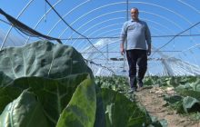 Урожайная эпидемия. Кто заставил фермеров Украины выбросить урожай ранних овощей на свалки