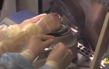 Міноборони показало, як військові медики роблять тести на COVID-19 у лабораторії (відео)