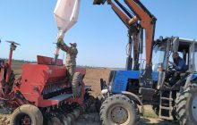 Правительство объяснило новые правила аренды земли в Украине