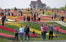 Окупанти знищили ландшафтний парк під Києвом: вивезли навіть садові інструменти