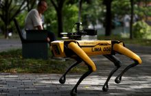 В США на прогулку вывели роботопсов Boston Dynamics (видео)
