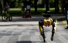 СМИ узнали, что США отправят в Украину робота-собаку от Boston Dynamics
