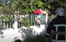 Жага до знань: у Кропивницькому школяр так хотів до школи, що поліз через паркан і застряг (відео)