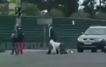 За повідець та рачки: у Маріуполі дивна парочка потрапила на відео