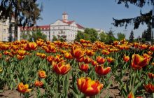 Маршрути поїздів Івано-Франківськ - Київ та Чернівці - Київ з липня продовжать до Чернігова