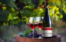 Настоящее Фраголино впервые в Украине