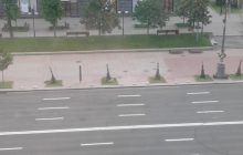 На Хрещатику замість каштанів з’явився ялівець: як виглядає зараз центральна вулиця Києва (фото)