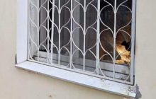 Невідомі кинули коктейль Молотова у приміщення прокуратури Каховки (фото)