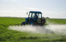 ЕДТА в складі мікродобрив – нова загроза для врожайності і родючості ґрунтів