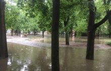 Сильна злива затопила вулиці Миколаєва (фото, відео)