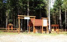 В лесах Киева обустроили более 40 зон отдыха (карта)