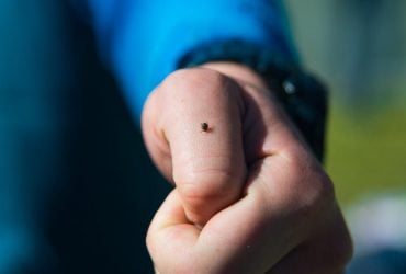 В России заявили о вспышке советского биологического оружия времен Второй мировой