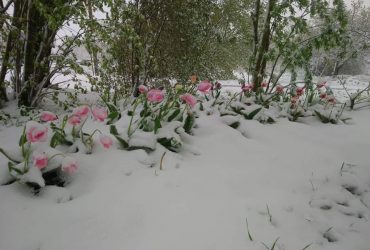 В Латвии и Литве выпал снег (видео)