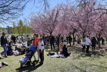 Выбрана самая счастливая страна в мире: какое место в этом рейтинге заняла Украина
