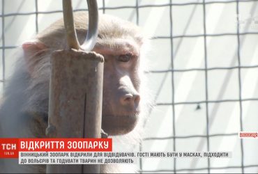 Скучили за відвідувачами: вінницький зоопарк відкрився для екскурсій