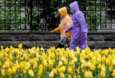 Завтра в Києві похолоднішає одразу на 5 градусів і піде дощ