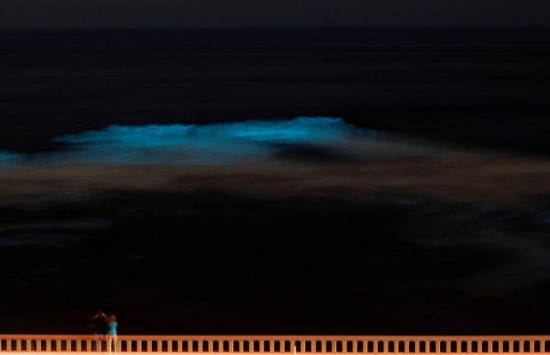 Жители Калифорнии любуются "неоновыми" пейзажами в океане (фоторепортаж)