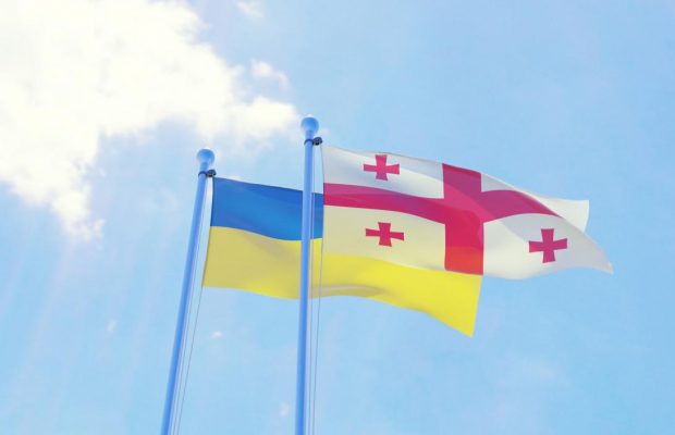 Україна і Грузія обговорили взаємне визнання свідоцтв про вакцинацію від COVID-19