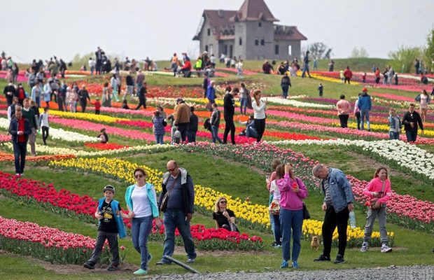 Оккупанты уничтожили ландшафтный парк под Киевом: вывезли даже садовые инструменты