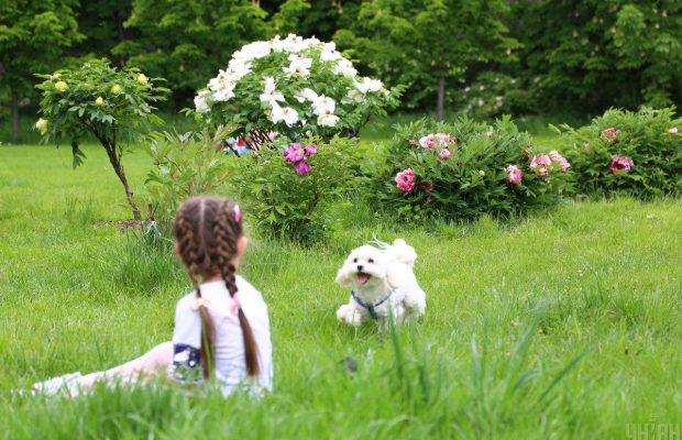 Киевляне заполонили ботсад имени Гришко после открытия (фоторепортаж)