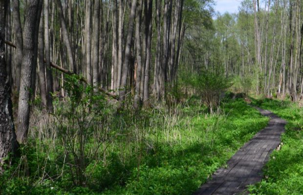 5 червня 2020 - яке сьогодні свято, прикмети і іменинники, що сьогодні не можна робити