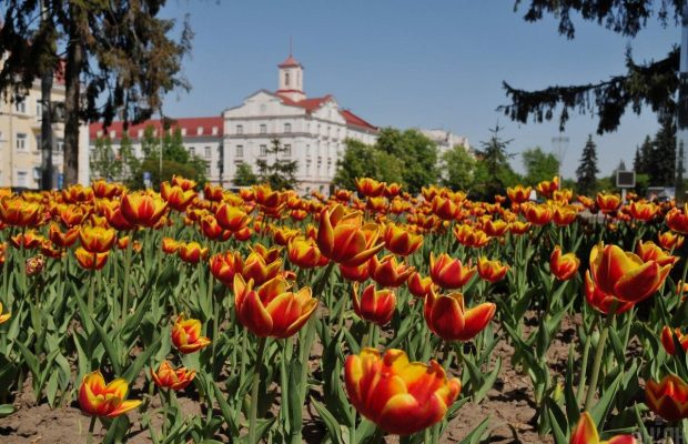 Маршрути поїздів Івано-Франківськ - Київ та Чернівці - Київ з липня продовжать до Чернігова