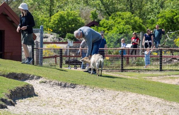Дания ускоряет отмену карантина: в стране открылись музеи и зоопарки (фоторепортаж)