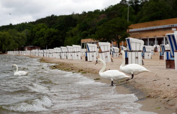 Без зоны для нудистов: в Берлине открывают культовый общественный пляж после карантина (фоторепортаж)