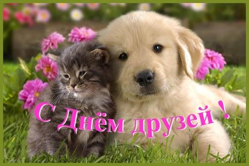 Открытки с Днем друзей / ladies.by Открытки с Днем друзей / ladies.by