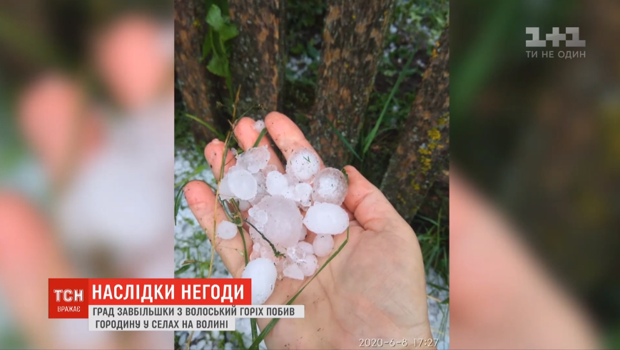 У Волинській області випав град розміром з горіх / скріншот У Волинській області випав град розміром з горіх / скріншот