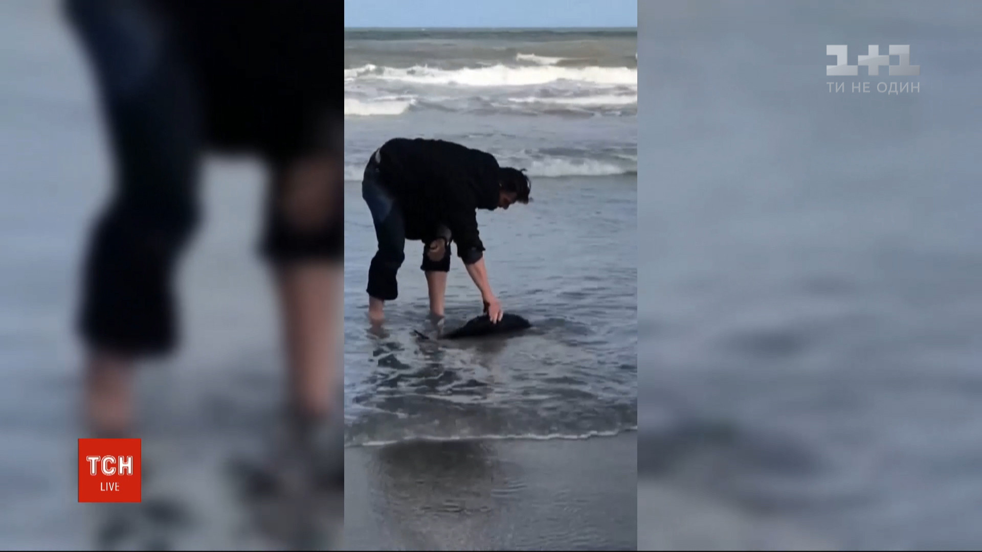 В соцсетях ему благодарят за достойный поступок / скриншот из видео В соцсетях ему благодарят за достойный поступок / скриншот из видео