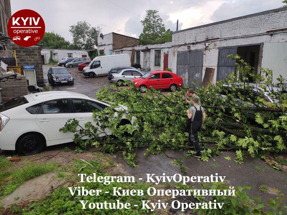 Дерево впало на машини / Київ Оперативний Дерево впало на машини / Київ Оперативний