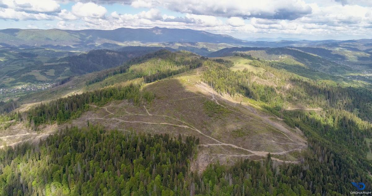 За рік обсяги незаконних вирубок в Україні зросли в сім разів / фото Dronarium Україна За рік обсяги незаконних вирубок в Україні зросли в сім разів / фото Dronarium Україна