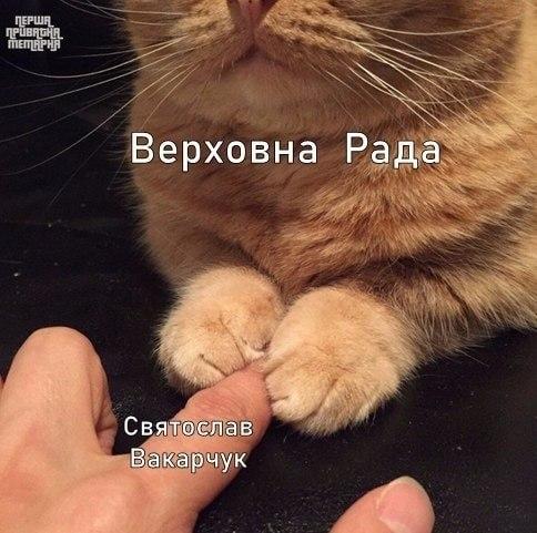 Реакція на рішення Ради щодо Вакарчука / скріншот Реакція на рішення Ради щодо Вакарчука / скріншот