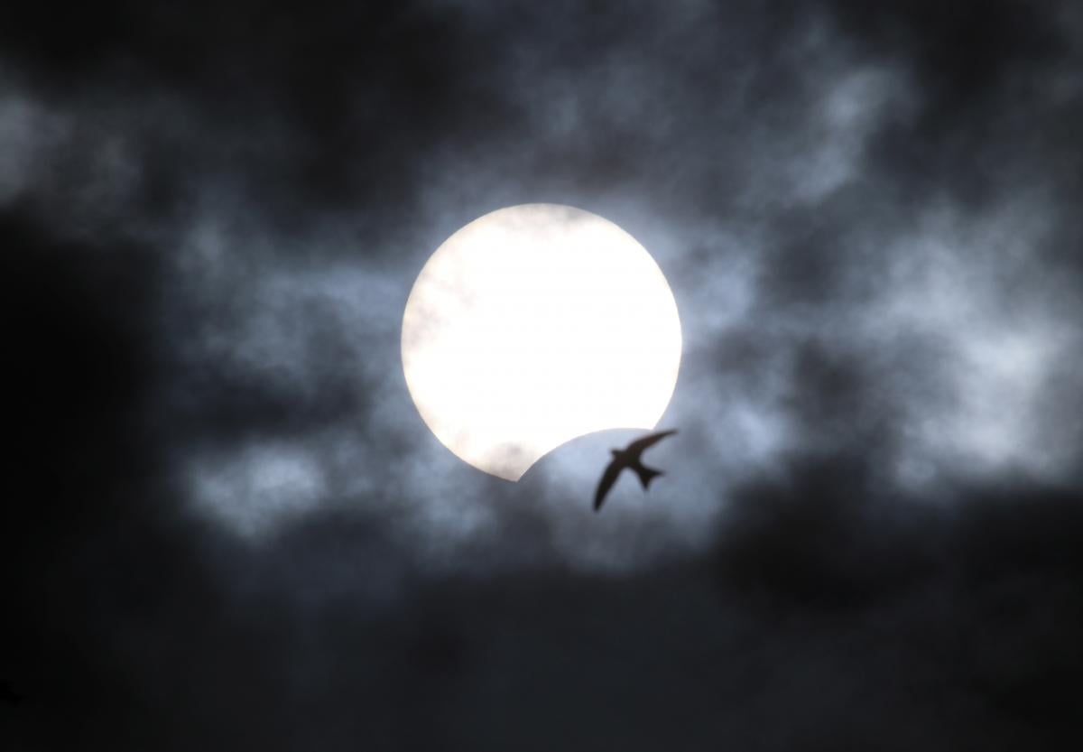 Солнечное затмение 4 декабря 2021 / фото REUTERS