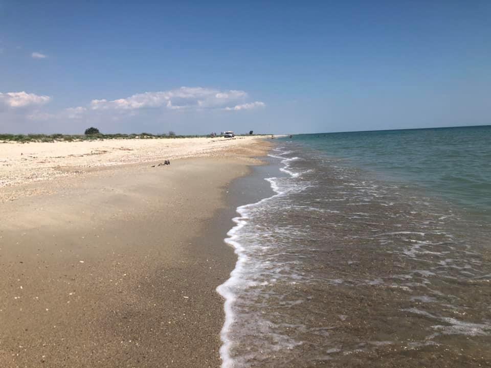 Заповідник "Тузлівські лимани" / Фото facebook.com/Solomiia Bobrovska Заповідник "Тузлівські лимани" / Фото facebook.com/Solomiia Bobrovska