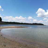 Environmental disaster over lack of water unfolding in occupied Crimea (Photos)